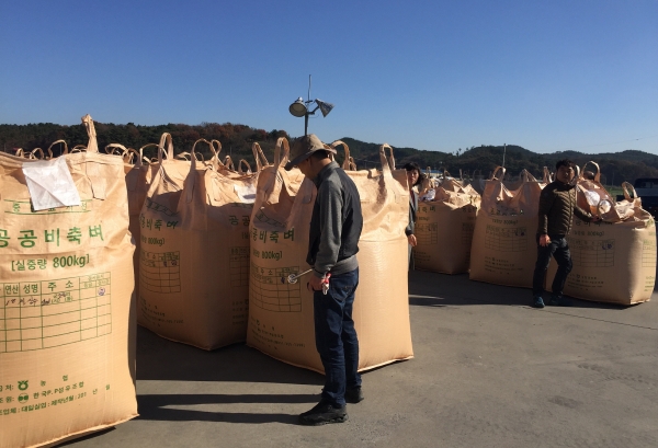 공공비축미 수매 자료 사진