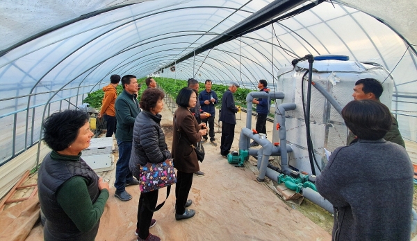 채소시범사업평가회 순성면 딸기농가 현장견학