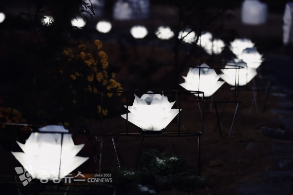 폐그물 업사이클링 전등이 설치된 모습(야간) / 충청뉴스 최형순 기자