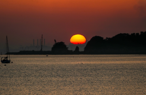 1월 12일에 촬영한 왜목일출 사진