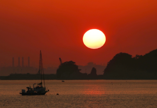 1월 12일에 촬영한 왜목일출 사진