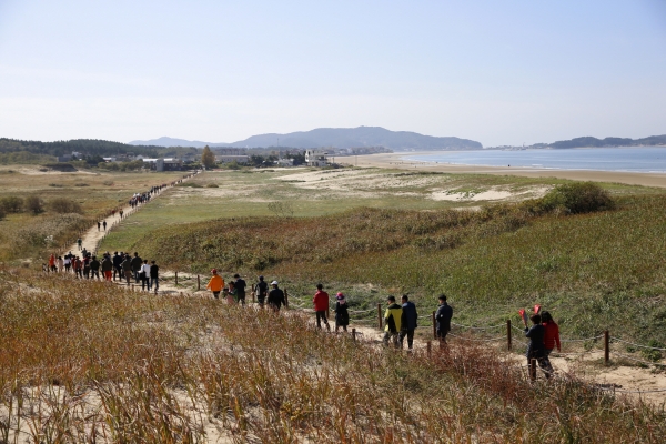 지난해 축제 모습.