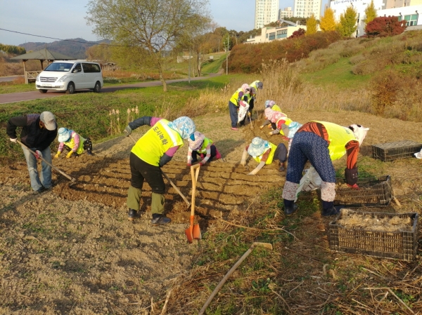정안천생태공원 준비 작업 진행 모습