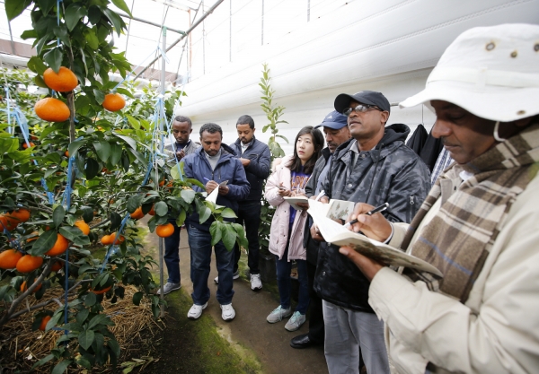 아람농원을 찾은 에티오피아 비정부기구 EOC-DICAC 회원 모습.
