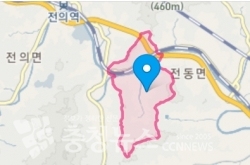 세종시 전동면 청담리