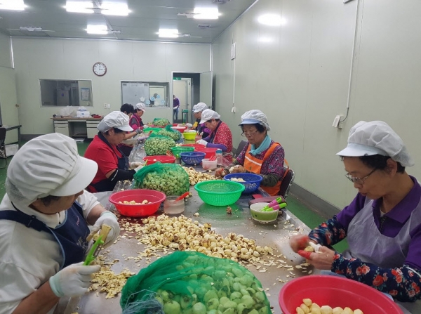 부여군 노인일자리 운영장면