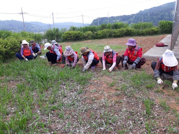 부여군 노인일자리 운영장면