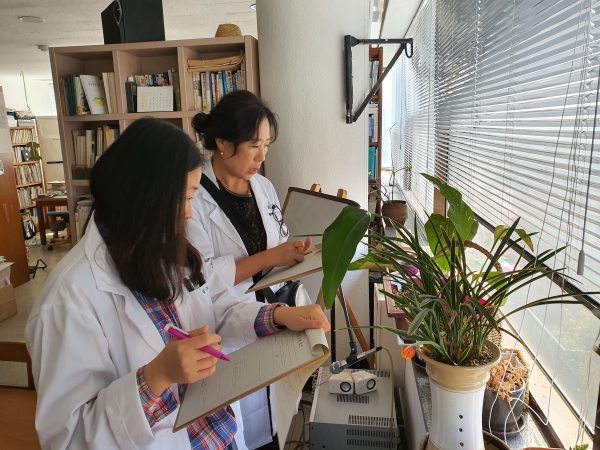 A4숲프로젝트_진행