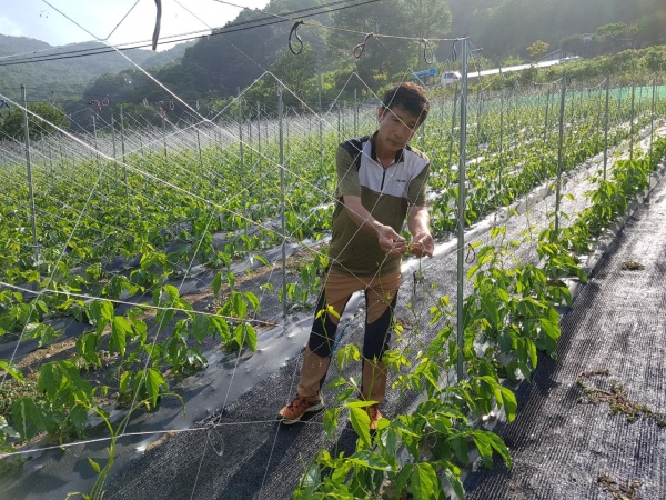 고마농부 회장인 전용호씨가 국내 최대 인터넷 포털 회사인 네이버에서 10월 농산물 판매 부분 1위 차지해 화제