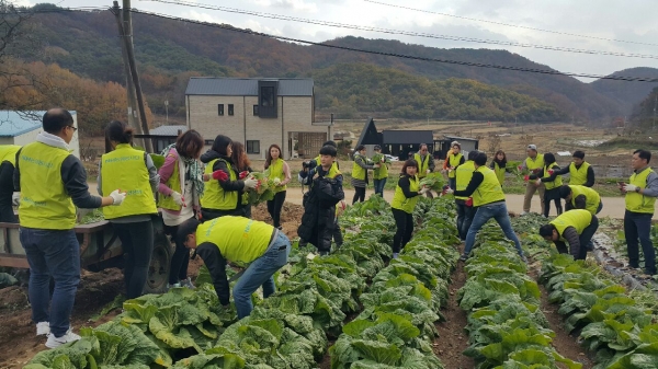 의당면 두만리 일원 예하지 농촌체험휴양마을