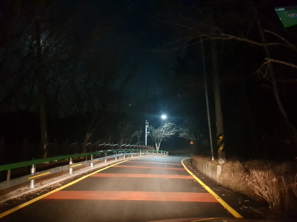 식장산문화공원 진입로 조명시설 설치 완료 모습