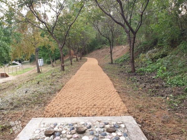 홍동초등학교와 인접한 3.1공원과 연결하는 학교숲 역사둘레길 조성