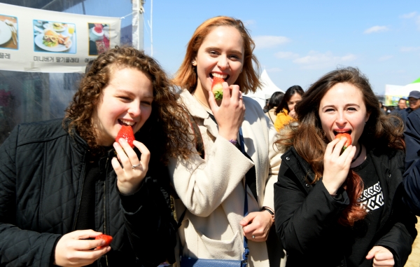 지난 논산딸기축제 모습 / 딸기축제장을 찾은 외국인들, 딸기맛보고 환호