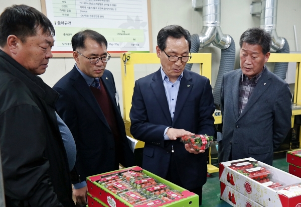 경남 진주 딸기수출농업단지 현장방문사진               * 우측에서 2번째(aT 이병호 사장)