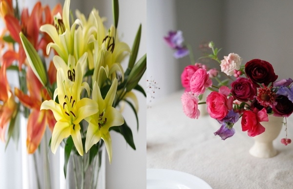 ‘백합’과 ‘라넌큘러스’