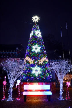 홍성군 크리스마스 대형트리