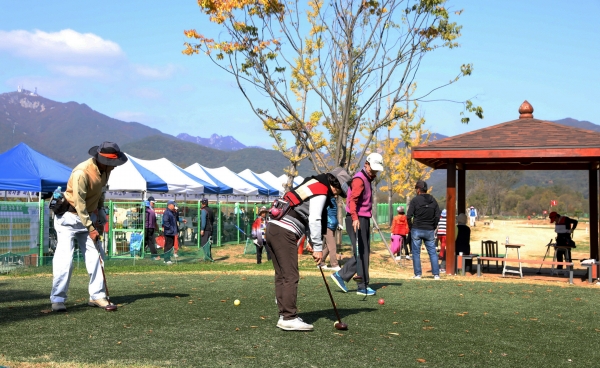 지난 파크골프 경기 모습
