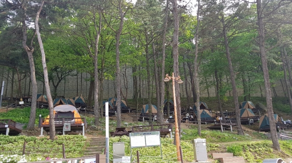 뿌리공원 캠핑장