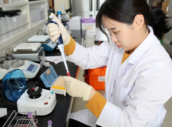 태안군이 한우 및 젖소의 임신을 조기에 진단할 수 있는 소 임신 진단 키트를 도입해 축산농가에 큰 힘이 되고 있다. 사진은 소 임신 진단 모습.