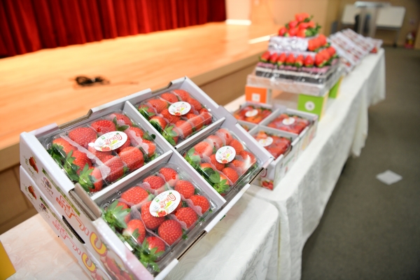 홍성딸기U, 명품딸기