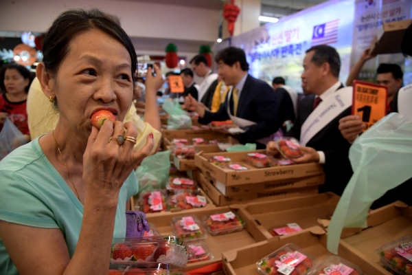 2019년 2월 말레이시아 판촉행사 장면