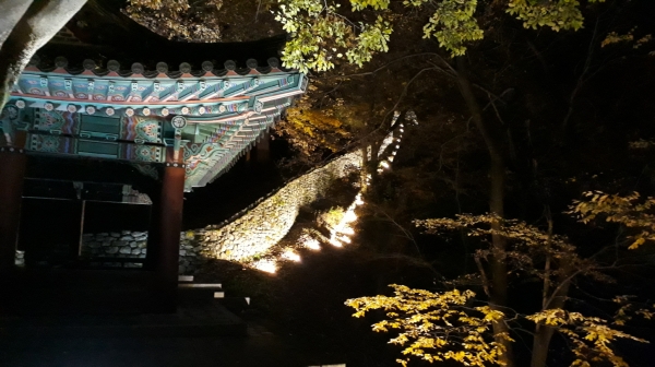 공주 공산성 성곽 경관조명 개선사업 마무리