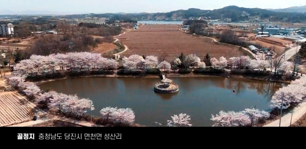 뮤직비디오 금상면천 골정지 봄 소개 화면 캡처