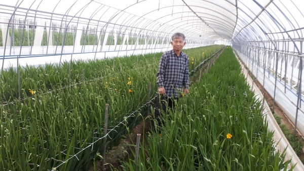 16일 봉산면 효교리 이석범 농가주와 프리지어