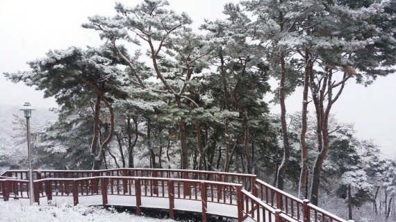 봉수산 자연휴양림 설경