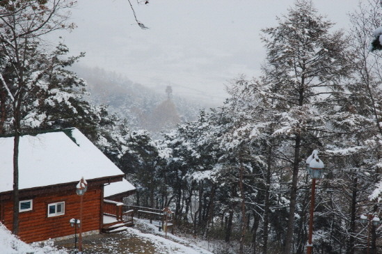 봉수산 자연휴양림 설경