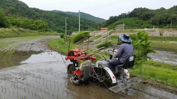 공주시 2020 농업 새기술 시범사업 관련 사진