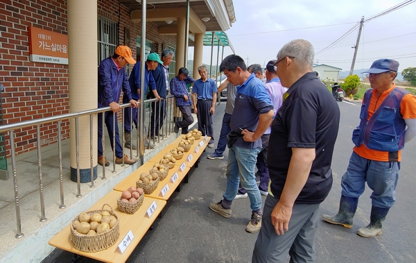 지난해 시범사업 모습