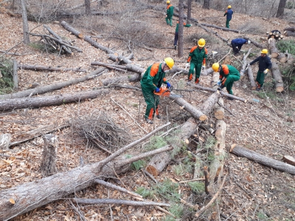 산림보호 기간제 근로자 활동사진