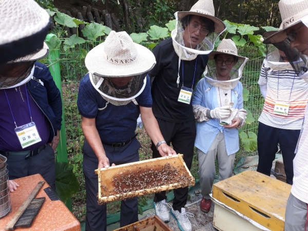 2019년 유성구 직업능력향상교육에서 양봉창업 과정 수강생들이 현장실습을 하고 있다.