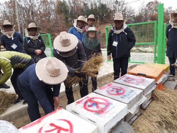 2019년 유성구 직업능력향상교육에서 양봉창업 과정 수강생들이 현장실습을 하고 있다.