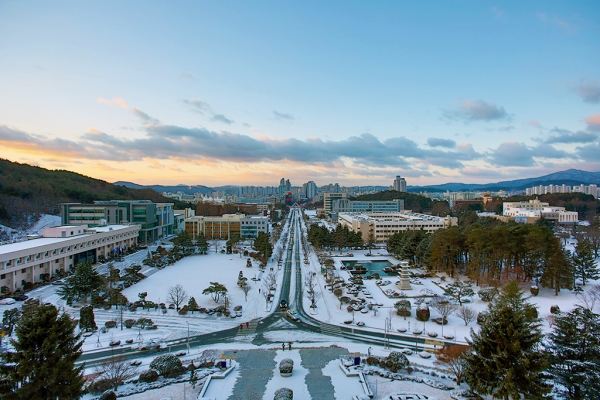 충남대 겨울 전경(도서관).