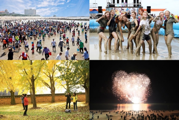 사계절 보령 여행