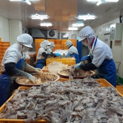 식품안전관리인증 업체의 생산라인 모습