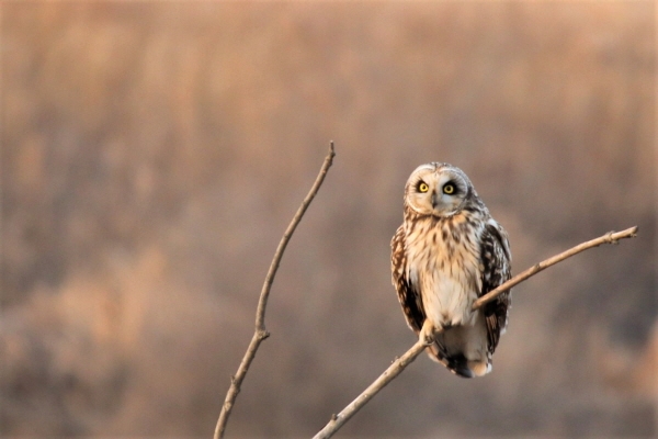 [사진-광석면 풋개마을 김권중 이장]