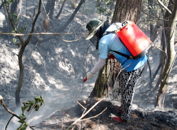 지난해 10월 원북면 이곡리 산불진화 모습.