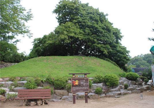 세천유원지에 위치한 보호수 모습
