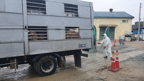 축산 관계차량 방역 소독 모습