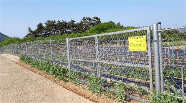 지난해 피해예방 설치 지원 사업 장면