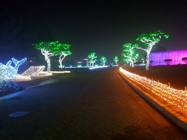 코리아플라워파크 빛축제