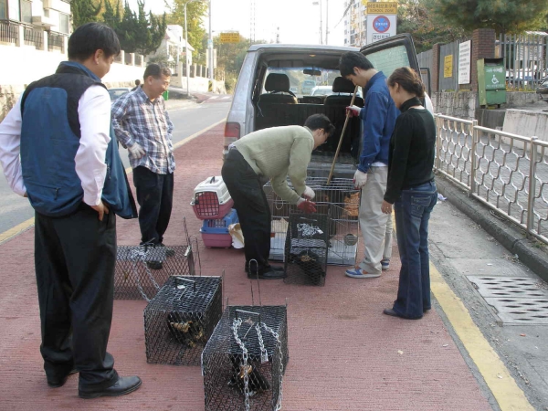 길고양이 개체 수 조절해 주민불편 해소