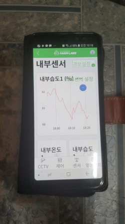 ICT 접목 고품질 느타리버섯 재배