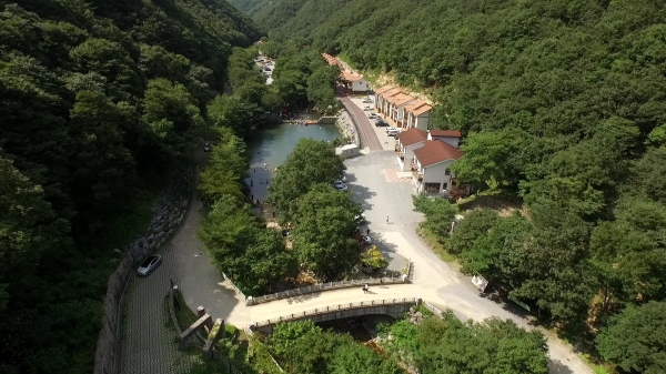 산림문화타운 모습