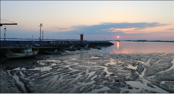 홍성군 궁리항 사업지구 전경