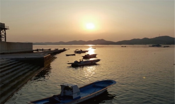 서산시 구도항 사업지구 전경.