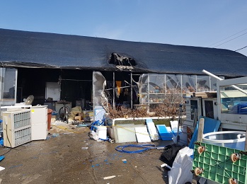 주거용비닐하우스 화재 사진